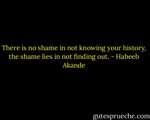 There is no shame in not knowing your history, the shame lies in not finding out. - Habeeb Akande