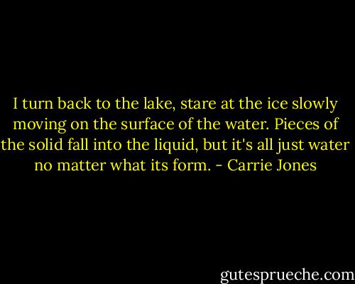 I turn back to the lake, stare at the ice slowly moving on the surface of the water. Pieces of the solid fall into the liquid, but it's all just water no matter what its form. - Carrie Jones