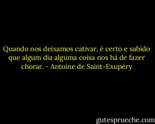 Quando nos deixamos cativar, é certo e sabido que algum dia alguma coisa nos há de fazer chorar. - Antoine de Saint-Exupéry