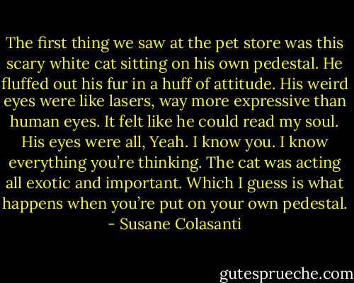 The first thing we saw at the pet store was this scary white cat sitting on his own pedestal. He fluffed out his fur in a huff of attitude. His weird eyes were like lasers, way more expressive than human eyes. It felt like he could read my soul. His eyes were all, Yeah. I know you. I know everything you’re thinking. The cat was acting all exotic and important. Which I guess is what happens when you’re put on your own pedestal. - Susane Colasanti