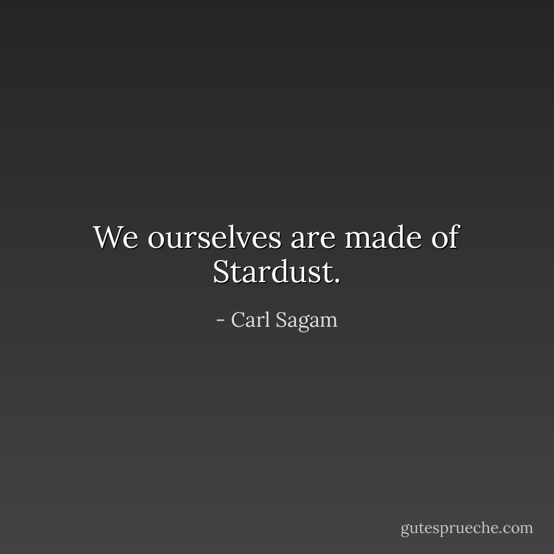We ourselves are made of Stardust. - Carl Sagam