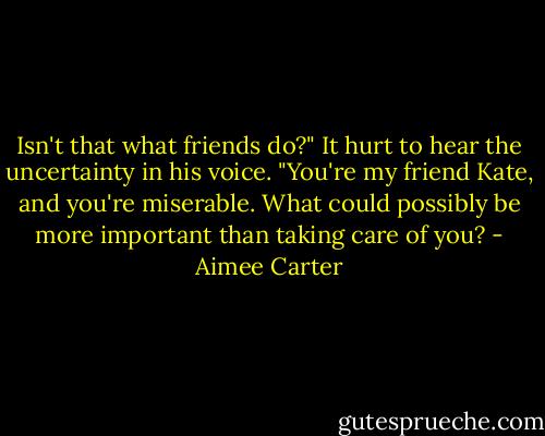 Isn't that what friends do?" It hurt to hear the uncertainty in his voice. "You're my friend Kate, and you're miserable. What could possibly be more important than taking care of you? - Aimee Carter