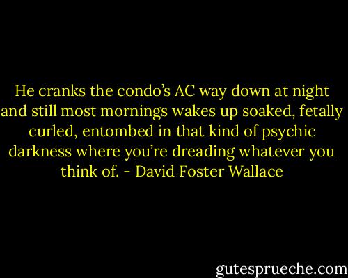 He cranks the condo’s AC way down at night and still most mornings wakes up soaked, fetally curled, entombed in that kind of psychic darkness where you’re dreading whatever you think of. - David Foster Wallace