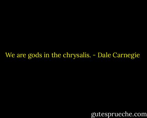 We are gods in the chrysalis. - Dale Carnegie