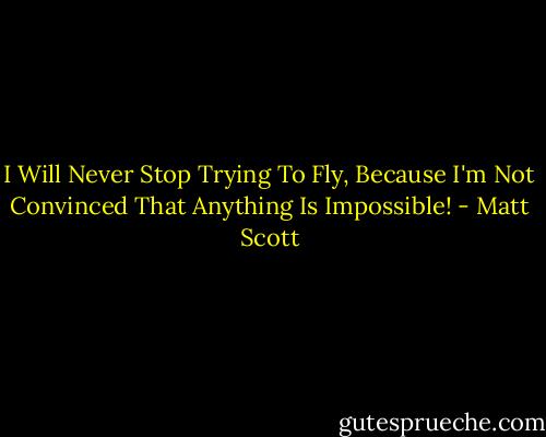 I Will Never Stop Trying To Fly, Because I'm Not Convinced That Anything Is Impossible! - Matt Scott