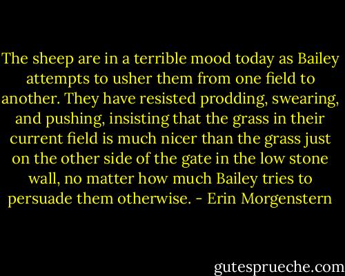 The sheep are in a terrible mood today as Bailey attempts to usher them from one field to another. They have resisted prodding, swearing, and pushing, insisting that the grass in their current field is much nicer than the grass just on the other side of the gate in the low stone wall, no matter how much Bailey tries to persuade them otherwise. - Erin Morgenstern
