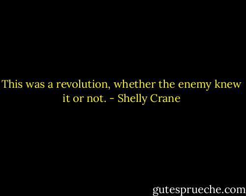 This was a revolution, whether the enemy knew it or not. - Shelly Crane