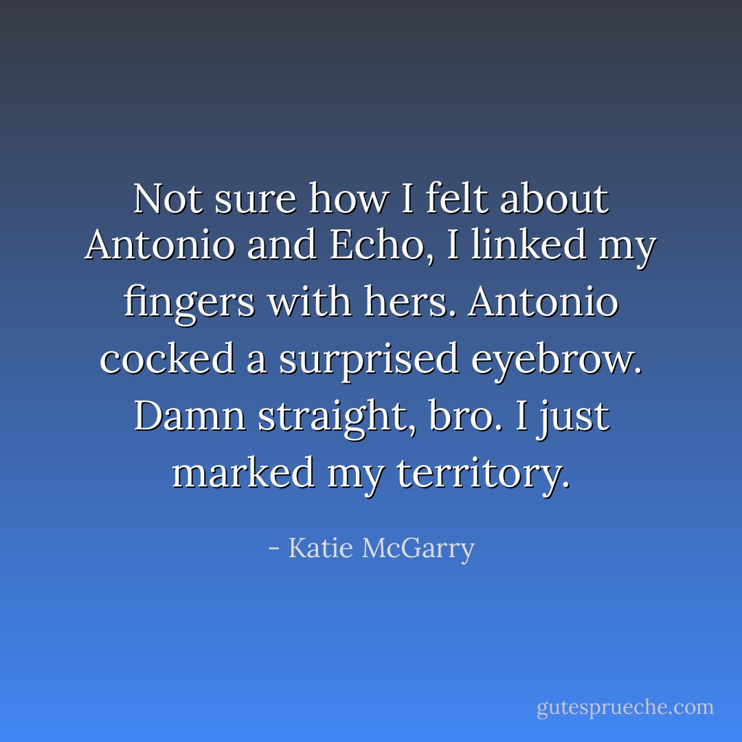 Not sure how I felt about Antonio and Echo, I linked my fingers with hers. Antonio cocked a surprised eyebrow. <b>Damn straight, bro. I just marked my territory.</b> - Katie McGarry