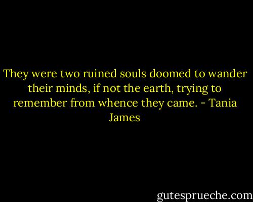 They were two ruined souls doomed to wander their minds, if not the earth, trying to remember from whence they came. - Tania James