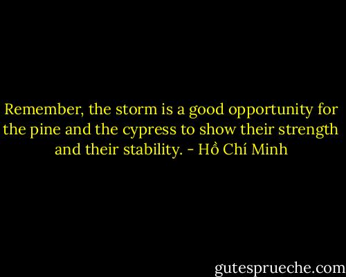 Remember, the storm is a good opportunity for the pine and the cypress to show their strength and their stability. - Hồ Chí Minh