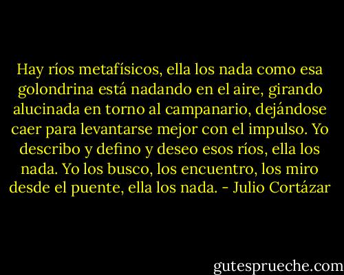 Hay ríos metafísicos, ella los nada como esa golondrina está nadando en el aire, girando alucinada en torno al campanario, dejándose caer para levantarse mejor con el impulso. Yo describo y defino y deseo esos ríos, ella los nada. Yo los busco, los encuentro, los miro desde el puente, ella los nada. - Julio Cortázar