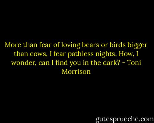 More than fear of loving bears or birds bigger than cows, I fear pathless nights. How, I wonder, can I find you in the dark? - Toni Morrison
