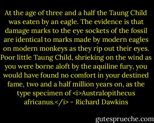 At the age of three and a half the Taung Child was eaten by an eagle. The evidence is that damage marks to the eye sockets of the fossil are identical to marks made by modern eagles on modern monkeys as they rip out their eyes. Poor little Taung Child, shrieking on the wind as you were borne aloft by the aquiline fury, you would have found no comfort in your destined fame, two and a half million years on, as the type specimen of <i>Australopithecus africanus.</i> - Richard Dawkins
