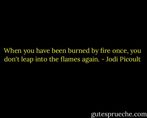 When you have been burned by fire once, you don't leap into the flames again. - Jodi Picoult