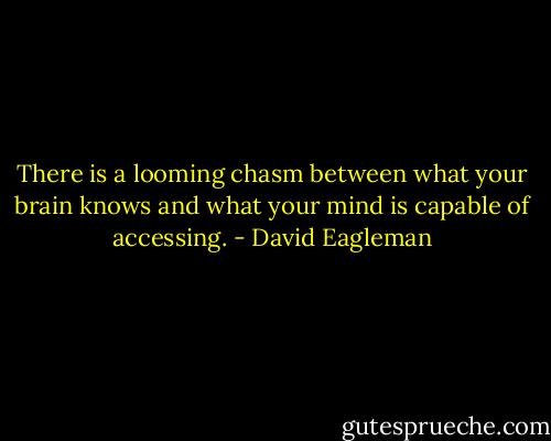 There is a looming chasm between what your brain knows and what your mind is capable of accessing. - David Eagleman