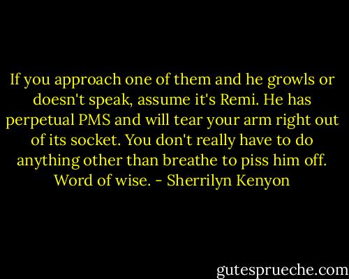 If you approach one of them and he growls or doesn't speak, assume it's Remi. He has perpetual PMS and will tear your arm right out of its socket. You don't really have to do anything other than breathe to piss him off. Word of wise. - Sherrilyn Kenyon