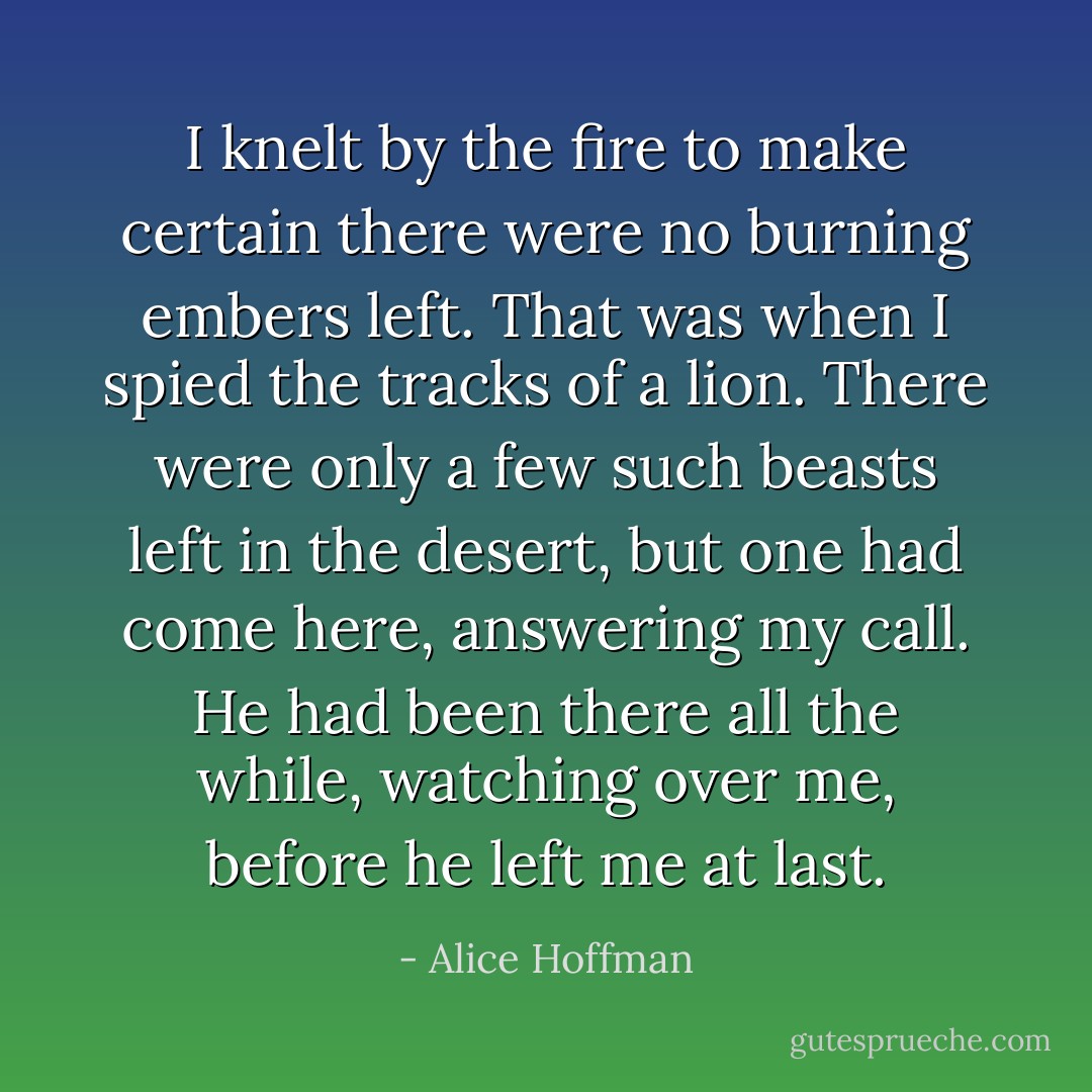 I knelt by the fire to make certain there were no burning embers left. That was when I spied the tracks of a lion. There were only a few such beasts left in the desert, but one had come here, answering my call. He had been there all the while, watching over me, before he left me at last. - Alice Hoffman