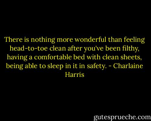 There is nothing more wonderful than feeling head-to-toe clean after you've been filthy, having a comfortable bed with clean sheets, being able to sleep in it in safety. - Charlaine Harris