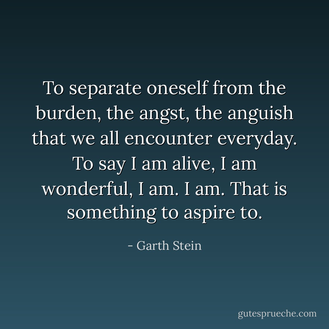 To separate oneself from the burden, the angst, the anguish that we all encounter everyday. To say I am alive, I am wonderful, I am. I am. That is something to aspire to. - Garth Stein