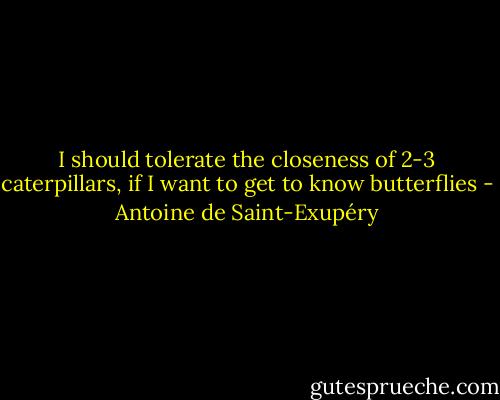 I should tolerate the closeness of 2-3 caterpillars, if I want to get to know butterflies - Antoine de Saint-Exupéry