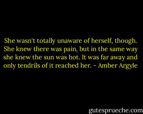 She wasn't totally unaware of herself, though. She knew there was pain, but in the same way she knew the sun was hot. It was far away and only tendrils of it reached her. - Amber Argyle