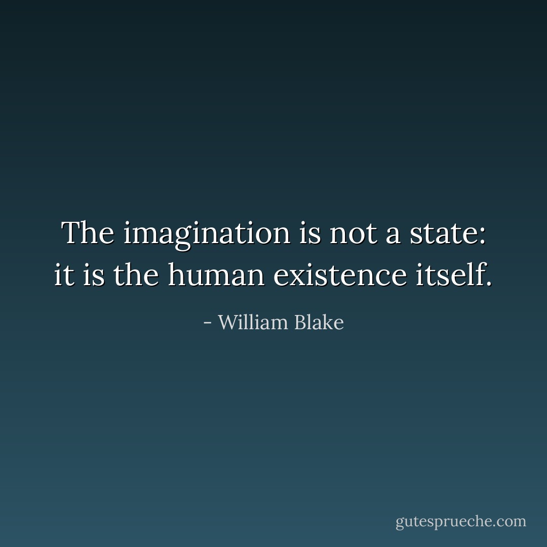 The imagination is not a state: it is the human existence itself. - William Blake