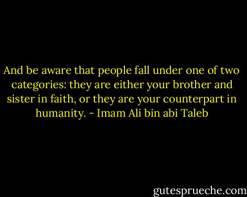 And be aware that people fall under one of two categories: they are either your brother and sister in faith, or they are your counterpart in humanity. - Imam Ali bin abi Taleb