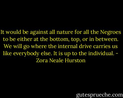 It would be against all nature for all the Negroes to be either at the bottom, top, or in between. We will go where the internal drive carries us like everybody else. It is up to the individual. - Zora Neale Hurston