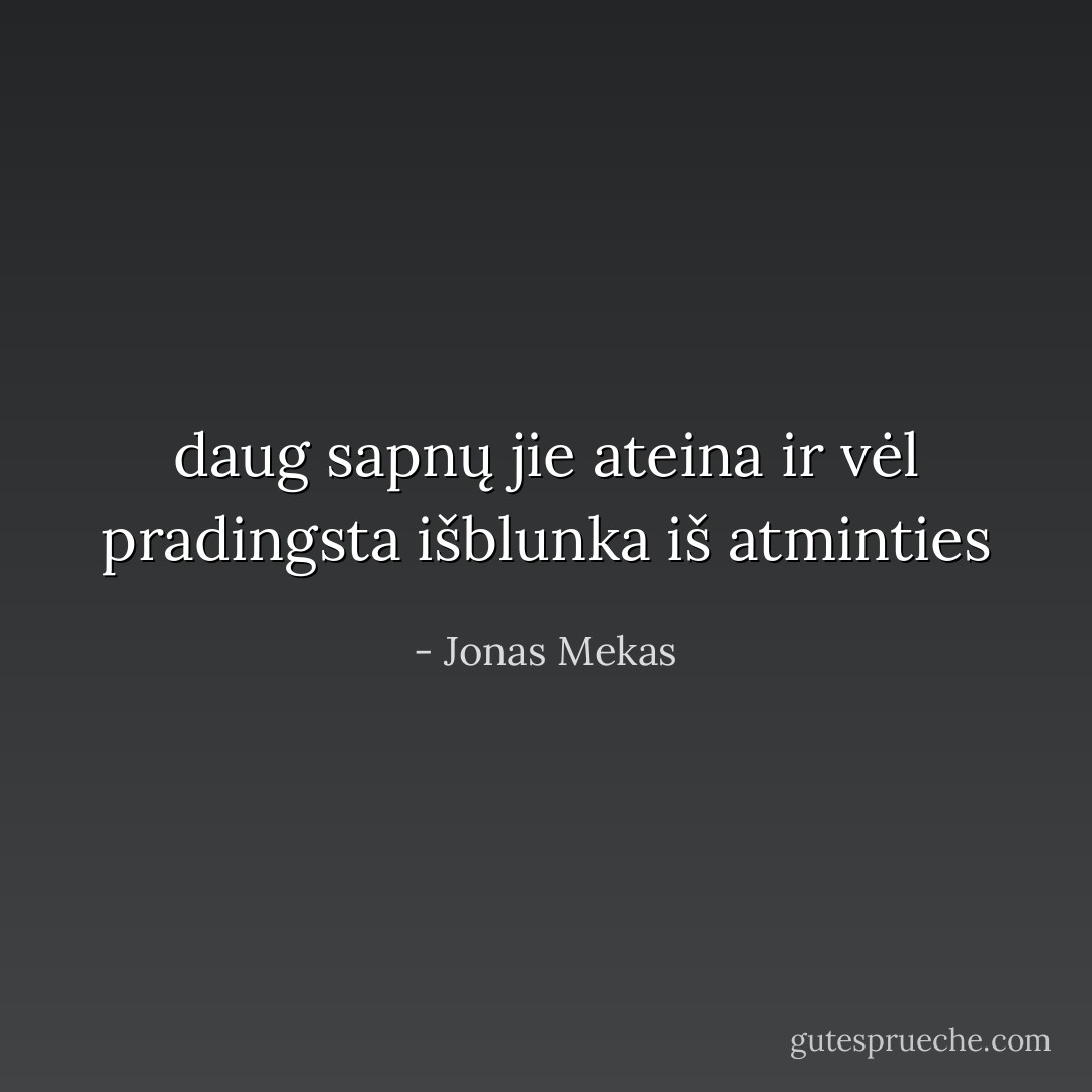 daug sapnų jie ateina ir vėl pradingsta išblunka iš atminties - Jonas Mekas