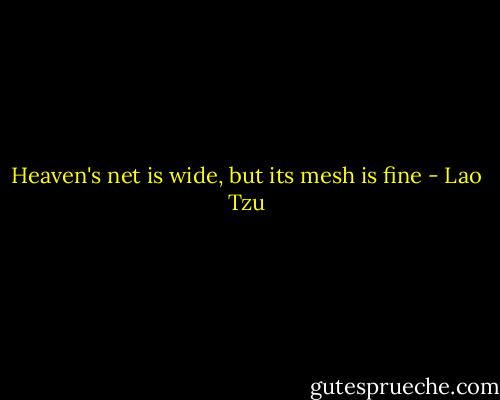 Heaven's net is wide, but its mesh is fine - Lao Tzu