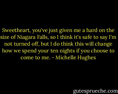 Sweetheart, you've just given me a hard on the size of Niagara Falls, so I think it's safe to say I'm not turned off, but I do think this will change how we spend your ten nights if you choose to come to me. - Michelle Hughes