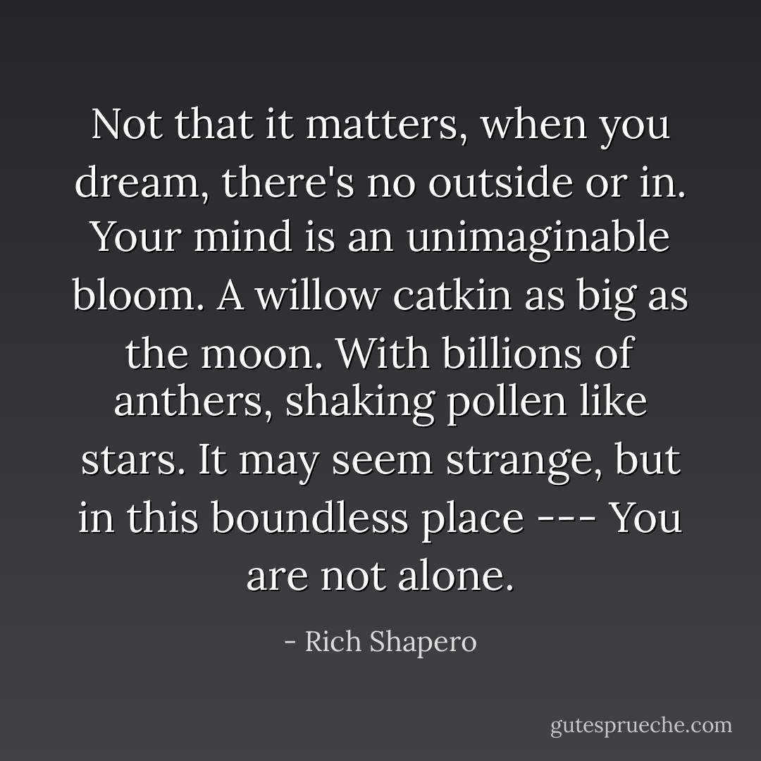 Not that it matters, when you dream, there's no outside or in. Your mind is an unimaginable bloom. A willow catkin as big as the moon. With billions of anthers, shaking pollen like stars. It may seem strange, but in this boundless place --- You are not alone. - Rich Shapero