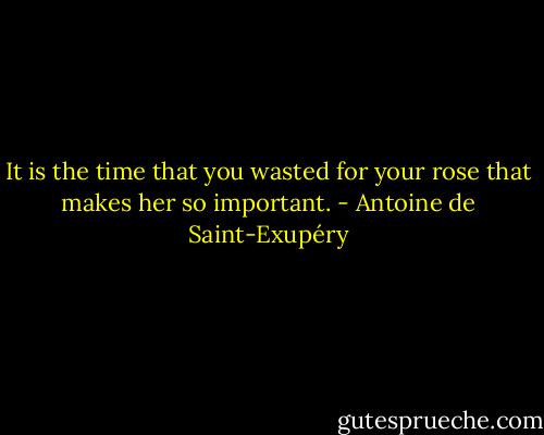 It is the time that you wasted for your rose that makes her so important. - Antoine de Saint-Exupéry