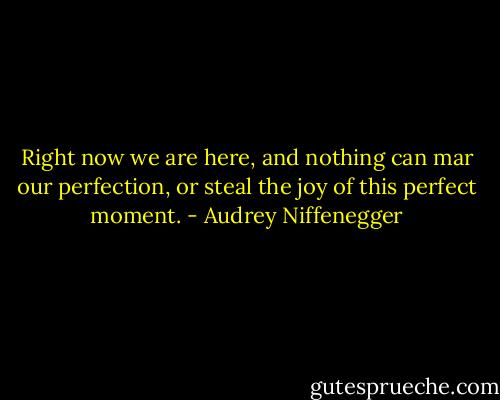 Right now we are here, and nothing can mar our perfection, or steal the joy of this perfect moment. - Audrey Niffenegger