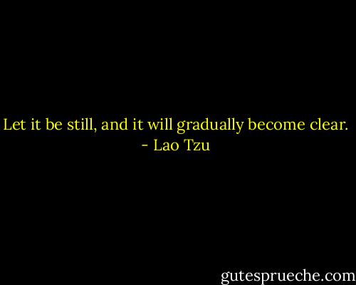 Let it be still, and it will gradually become clear. - Lao Tzu