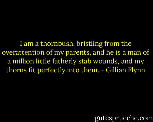 I am a thornbush, bristling from the overattention of my parents, and he is a man of a million little fatherly stab wounds, and my thorns fit perfectly into them. - Gillian Flynn