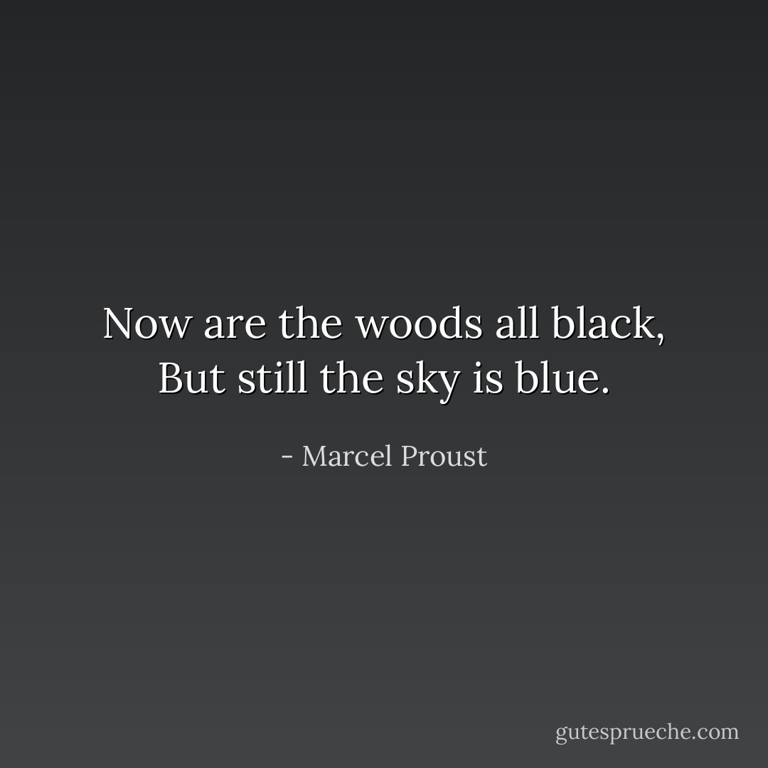 Now are the woods all black,<br />But still the sky is blue. - Marcel Proust