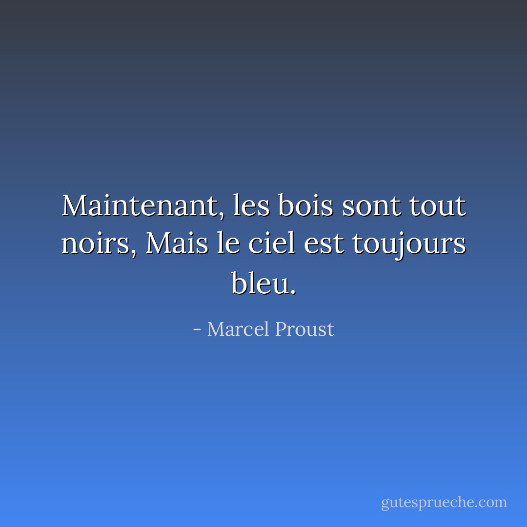 Maintenant, les bois sont tout noirs,<br />Mais le ciel est toujours bleu. - Marcel Proust