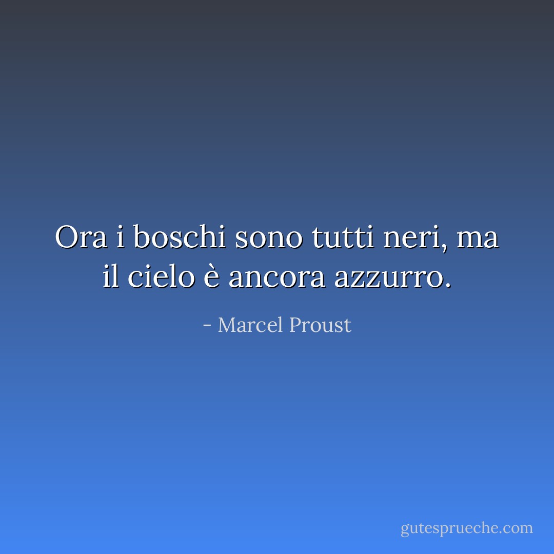 Ora i boschi sono tutti neri,<br />ma il cielo è ancora azzurro. - Marcel Proust