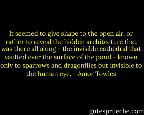It seemed to give shape to the open air, or rather to reveal the hidden architecture that was there all along - the invisible cathedral that vaulted over the surface of the pond - known only to sparrows and dragonflies but invisible to the human eye. - Amor Towles
