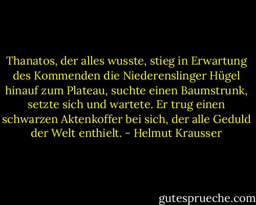 Thanatos, der alles wusste, stieg in Erwartung des Kommenden die Niederenslinger Hügel hinauf zum Plateau, suchte einen Baumstrunk, setzte sich und wartete. Er trug einen schwarzen Aktenkoffer bei sich, der alle Geduld der Welt enthielt. - Helmut Krausser