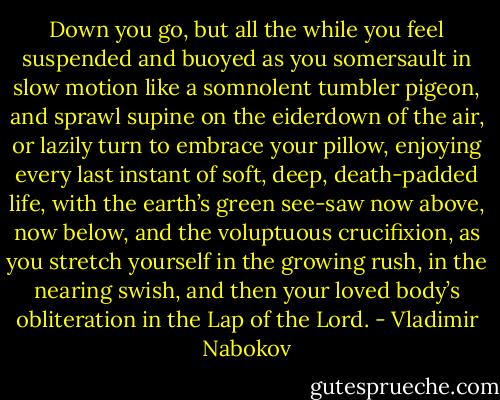 Down you go, but all the while you feel suspended and buoyed as you somersault in slow motion like a somnolent tumbler pigeon, and sprawl supine on the eiderdown of the air, or lazily turn to embrace your pillow, enjoying every last instant of soft, deep, death-padded life, with the earth’s green see-saw now above, now below, and the voluptuous crucifixion, as you stretch yourself in the growing rush, in the nearing swish, and then your loved body’s obliteration in the Lap of the Lord. - Vladimir Nabokov
