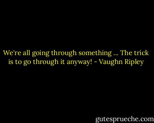We're all going through something ... The trick is to go through it anyway! - Vaughn Ripley