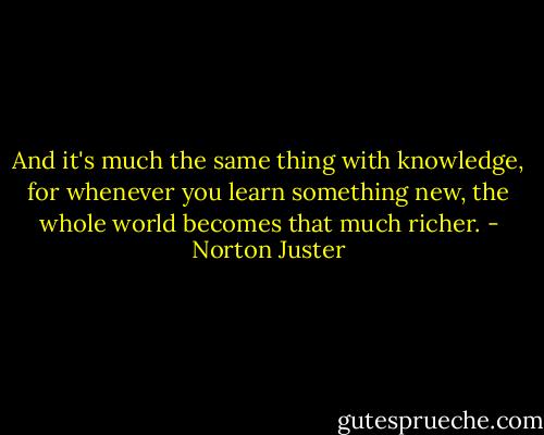 And it's much the same thing with knowledge, for whenever you learn something new, the whole world becomes that much richer. - Norton Juster