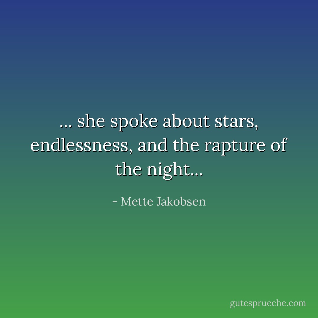 ... she spoke about stars, endlessness, and the rapture of the night... - Mette Jakobsen