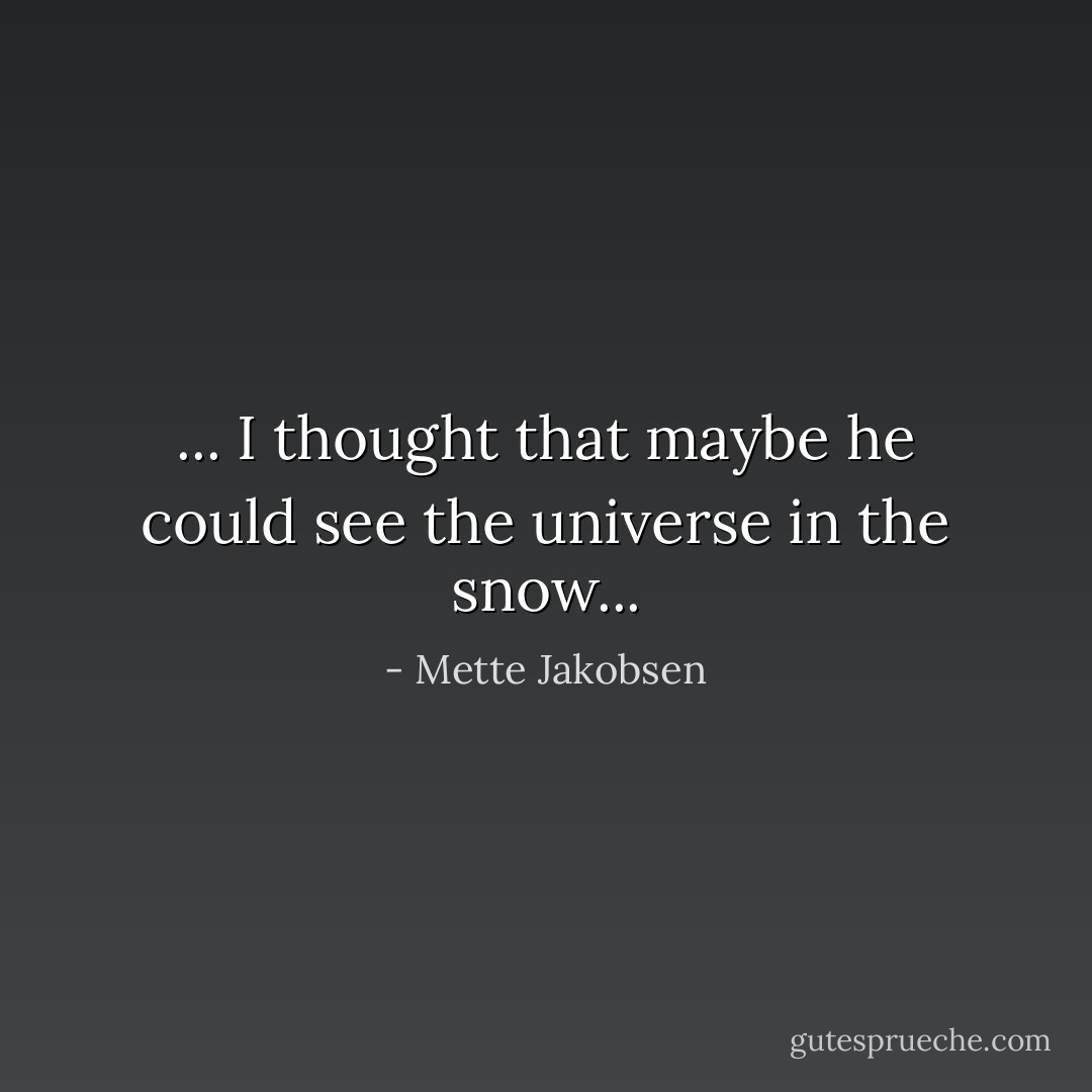 ... I thought that maybe he could see the universe in the snow... - Mette Jakobsen