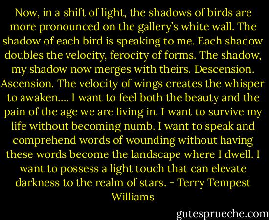Now, in a shift of light, the shadows of birds are more pronounced on the gallery’s white wall. The shadow of each bird is speaking to me. Each shadow doubles the velocity, ferocity of forms. The shadow, my shadow now merges with theirs. Descension. Ascension. The velocity of wings creates the whisper to awaken….<br />I want to feel both the beauty and the pain of the age we are living in. I want to survive my life without becoming numb. I want to speak and comprehend words of wounding without having these words become the landscape where I dwell. I want to possess a light touch that can elevate darkness to the realm of stars. - Terry Tempest Williams