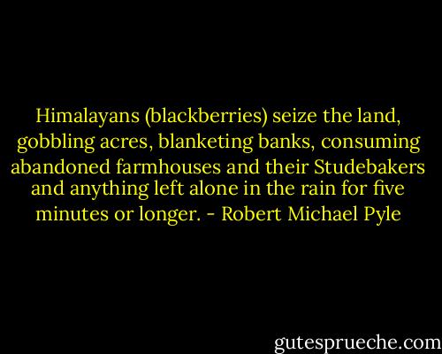 Himalayans (blackberries) seize the land, gobbling acres, blanketing banks, consuming abandoned farmhouses and their Studebakers and anything left alone in the rain for five minutes or longer. - Robert Michael Pyle