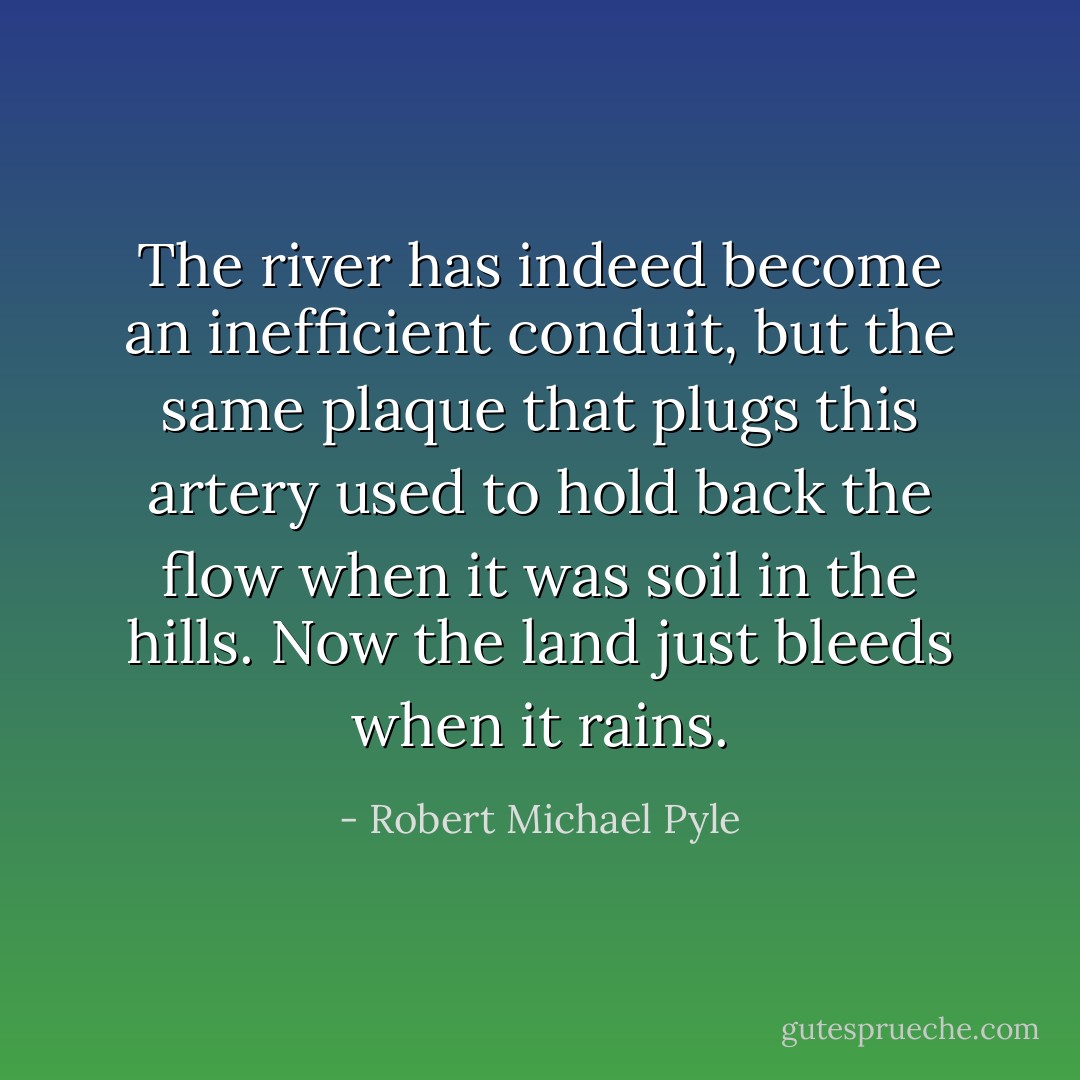 The river has indeed become an inefficient conduit, but the same plaque that plugs this artery used to hold back the flow when it was soil in the hills. Now the land just bleeds when it rains. - Robert Michael Pyle