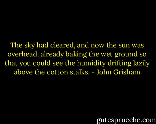 The sky had cleared, and now the sun was overhead, already baking the wet ground so that you could see the humidity drifting lazily above the cotton stalks. - John Grisham